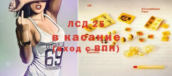 шишки Аркадак