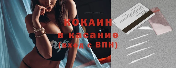 шишки Аркадак