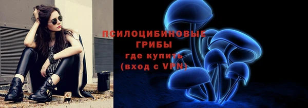 шишки Аркадак