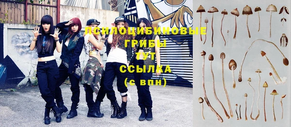 ГАЛЛЮЦИНОГЕННЫЕ ГРИБЫ Армянск
