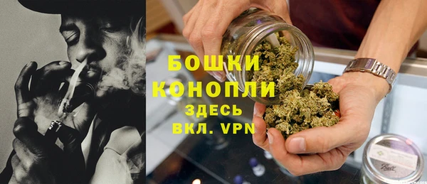 шишки Аркадак