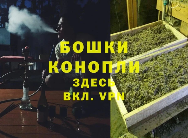 шишки Аркадак